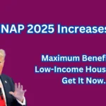 SNAP 2025 Increases Maximum Benefits for Low-Income Households