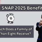 SNAP 2025 Benefits: How Much Does a Family of More Than Eight Receive?