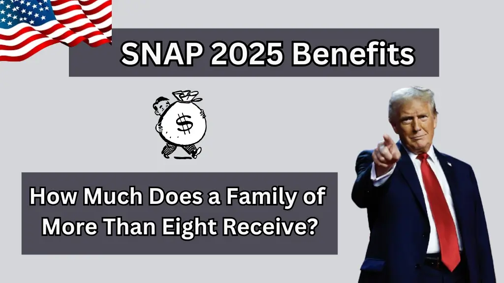 SNAP 2025 Benefits: How Much Does a Family of More Than Eight Receive?