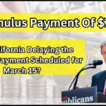 Why California Delaying the Stimulus Payment Of $725 Scheduled for March 15