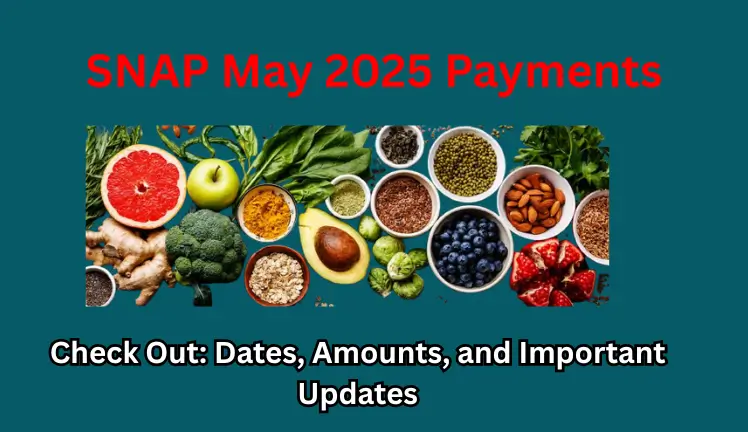 SNAP May 2025 Payments: Check Out Dates, Amounts, and Important Updates